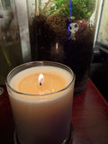 12oz Coconut Soy Wax Candle