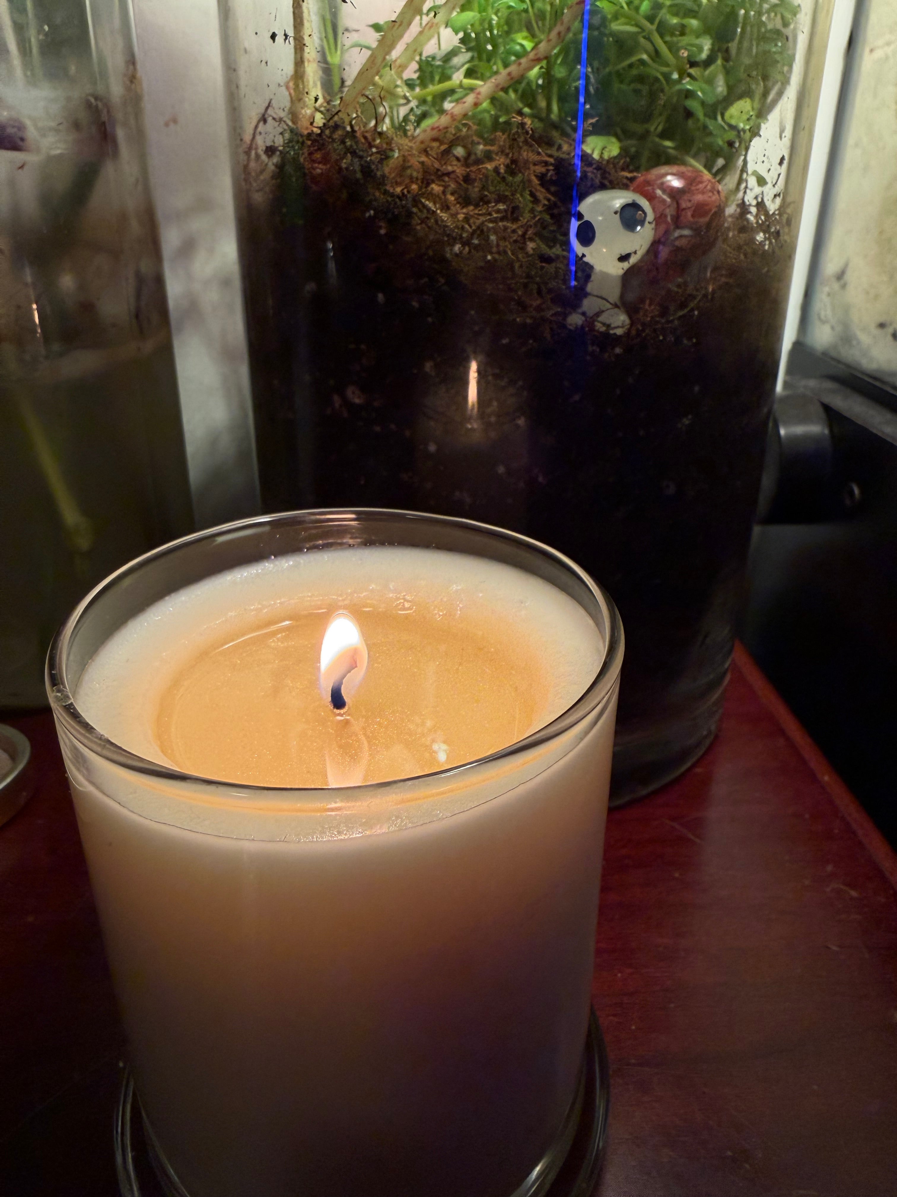12oz Coconut Soy Wax Candle