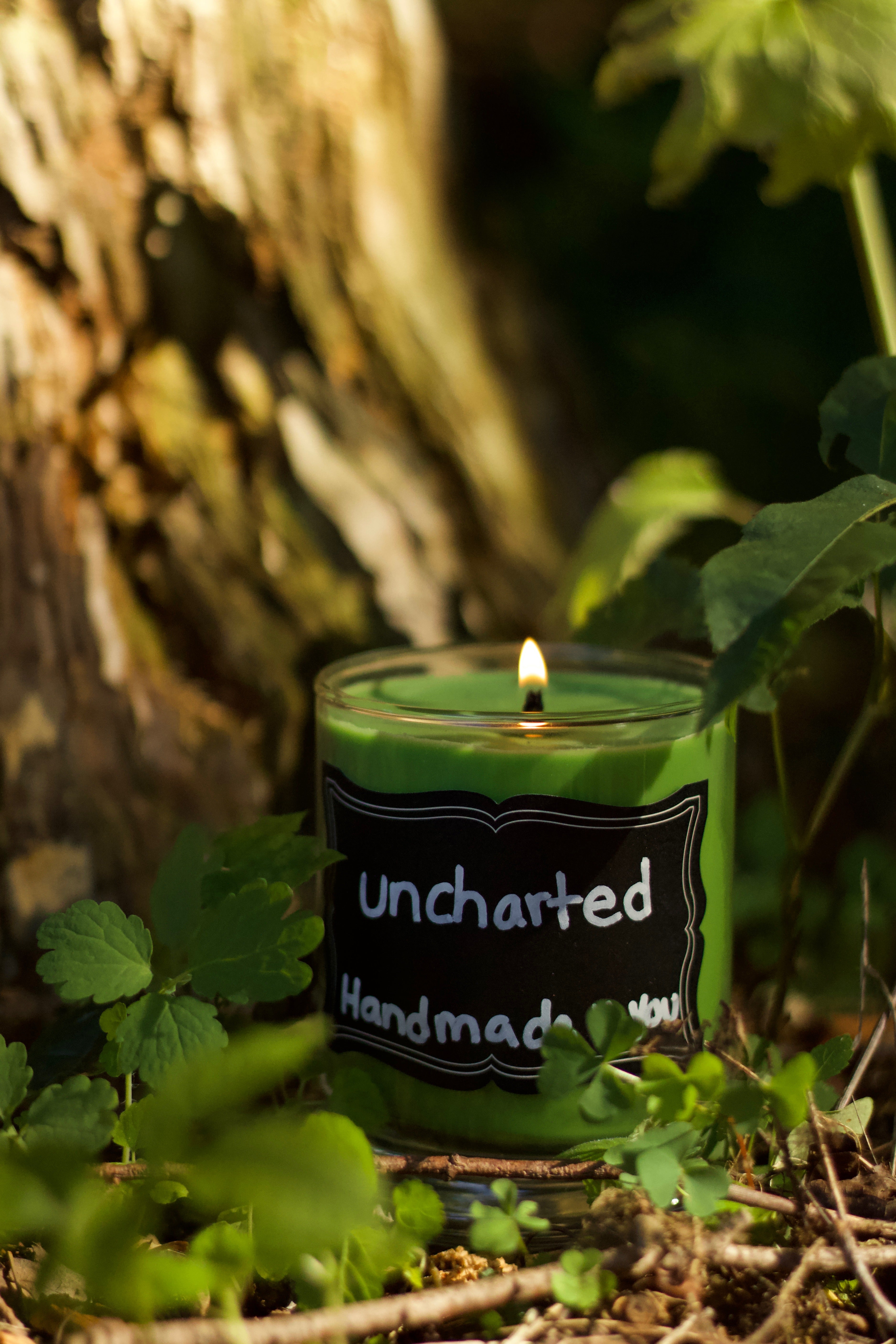 12oz Coconut Soy Wax Candle